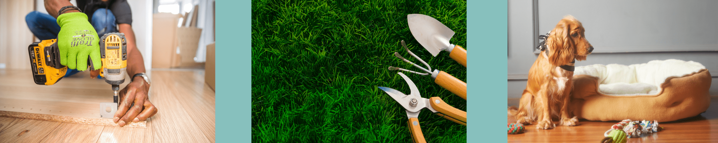 Bricolage, Jardin & animalerie